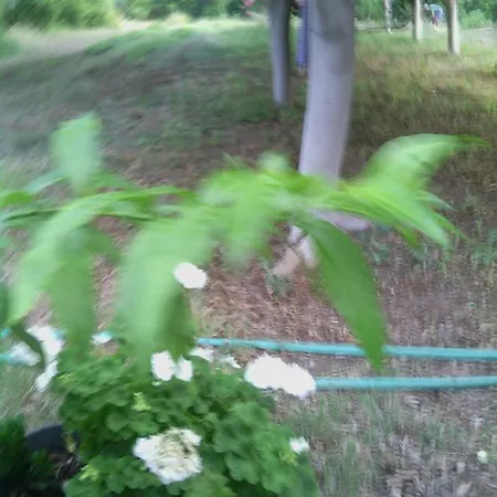 Oz Likya Gasthof Kumluca