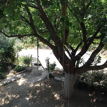 Oz Likya Guest house 3*