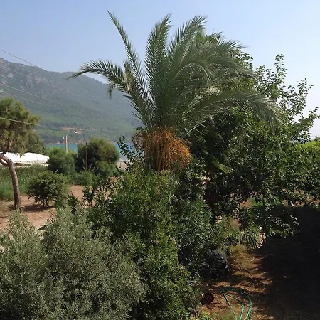 Oz Likya 3* Kumluca