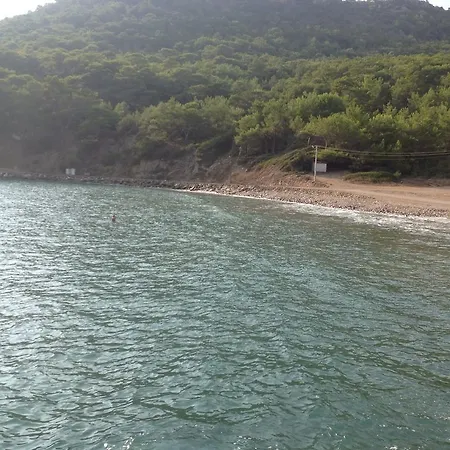 Oz Likya 3*