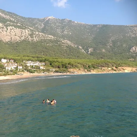 Oz Likya 3*