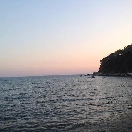 Guest house Oz Likya 3*