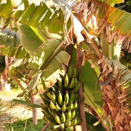 Oz Likya Casa de hóspedes Kumluca