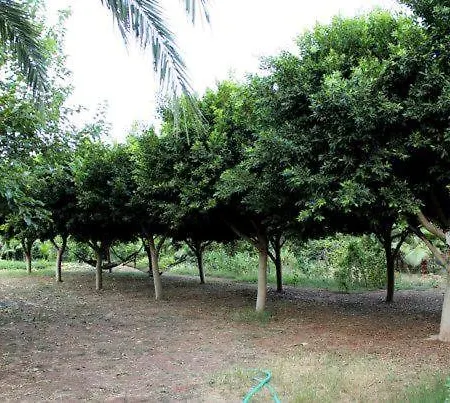 Oz Likya Guest house