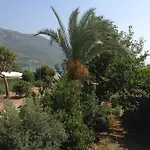 Oz Likya 3* Kumluca