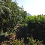 Oz Likya Kumluca