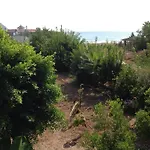 Oz Likya 3*