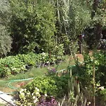 Pensión Oz Likya