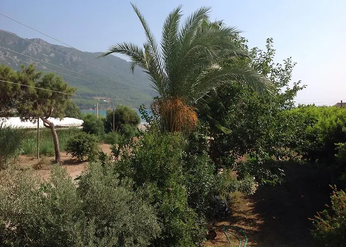 Oz Likya 3* Kumluca